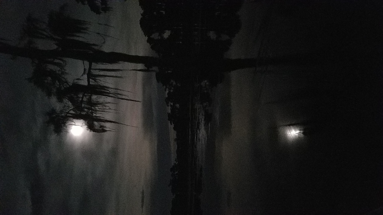 Cypress holding full moon