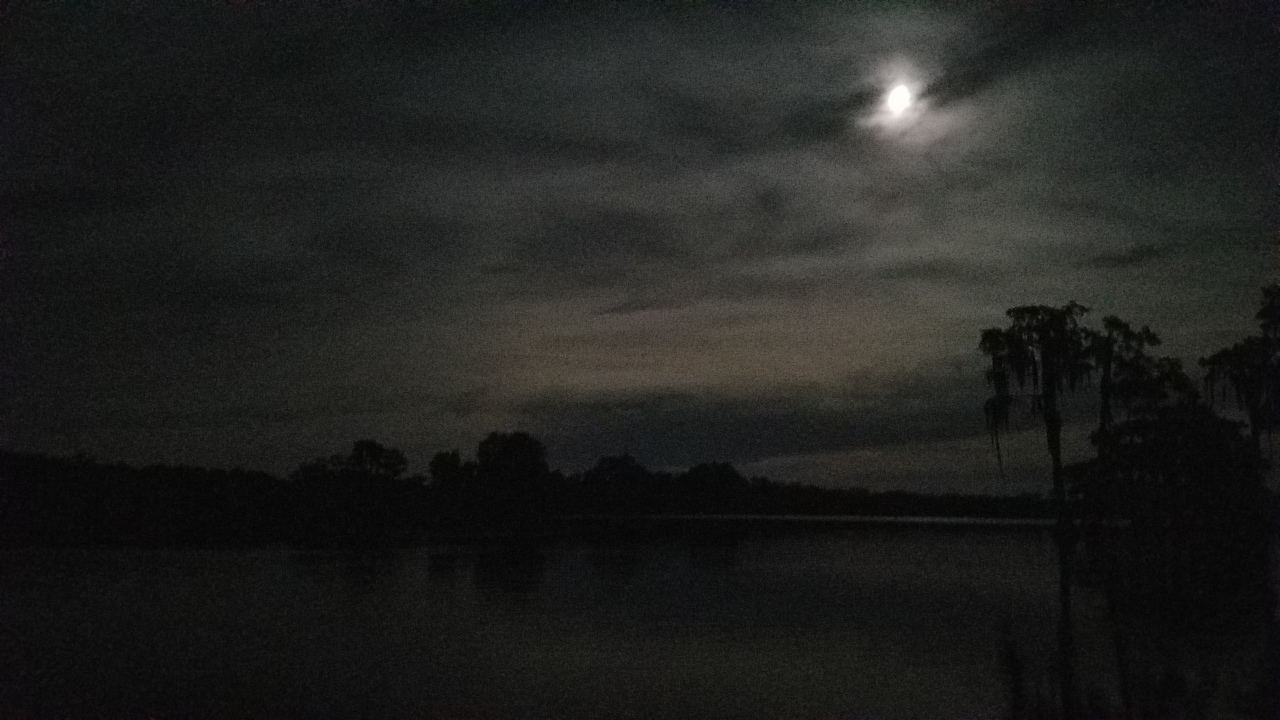 Moon sliding up the sky