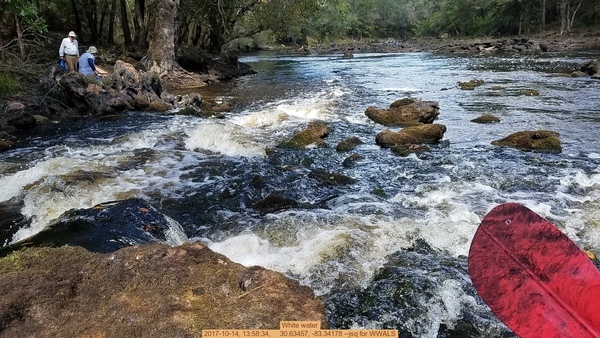 [White water, 2017-10-14, 13:58:34, 30.63457, -83.34178 --jsq for WWALS]