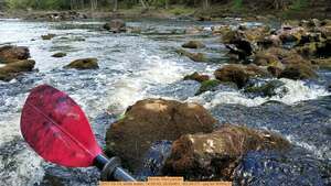 [Movie: Red paddle, 2017-10-14, white water, 14:09:43, 30.63461, -83.34177 --jsq for WWALS]