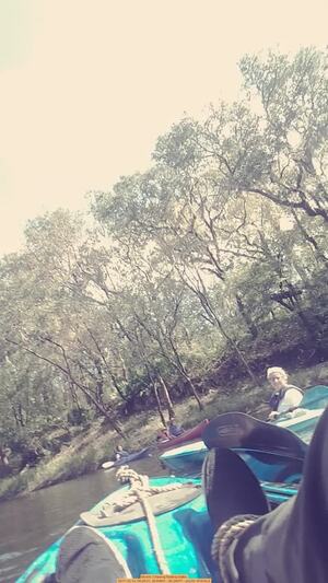 [Movie: Chasing floating bottle, 2017-10-14, 09:29:21, 30.63647, -83.34077 --jsq for WWALS]