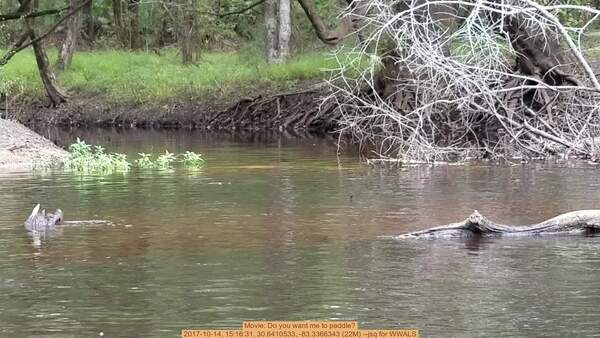[Movie: Do you want me to paddle?, 2017-10-14, 15:16:31, 30.6410533, -83.3366343 (22M) --jsq for WWALS]
