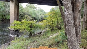 [Willows upstream, 2017-10-14, 10:07:23, 30.67487, -83.39425 --jsq for WWALS]