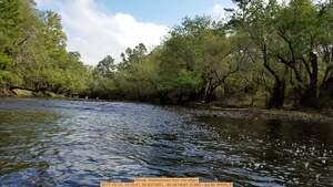 [Movie: Downstream from the steps, 2017-10-14, 13:18:41, 30.6373851, -83.3574091 (5.9M) --jsq for WWALS]