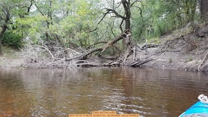[Creek and river water, 2017-10-14, 11:46:18, 30.6537131, -83.3624839 --jsq for WWALS]