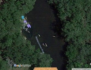 [Apparently we're on google maps satellite view, 2017-10-14, 30.64151, -83.36604 --jsq for WWALS]
