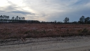 [NW to STT pipeline from SW 40th Ave. across SW 59 Pl, 17:38:53, 30.4676032, -83.1781688]