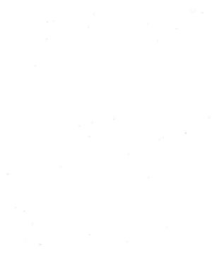 [Page 86 is blank]