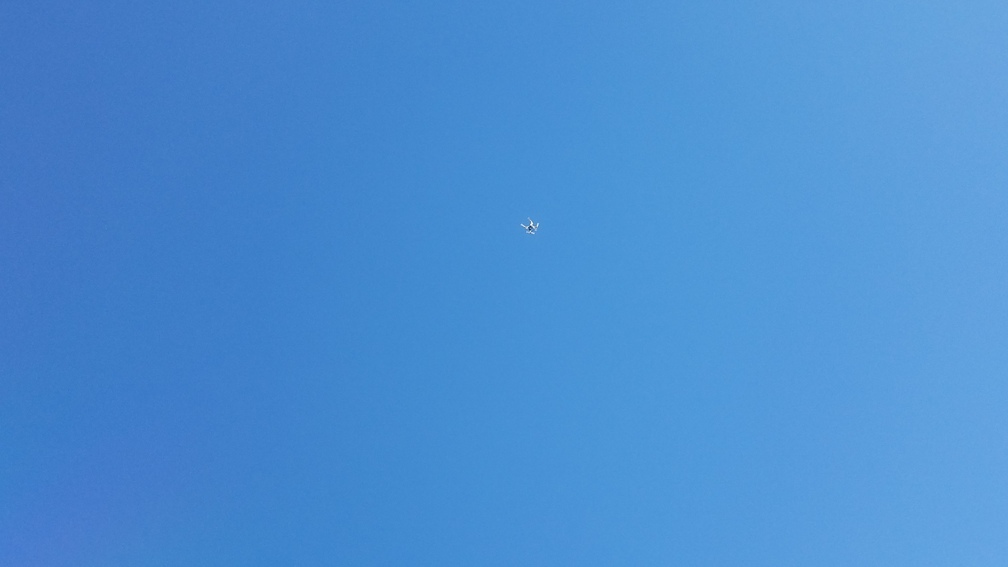 Big mosquito, 13:39:34, 30.6326420, -83.3089612