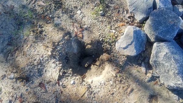 Posthole