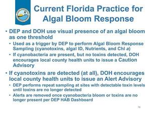 [Current Florida Practice for Algal Bloom Response]