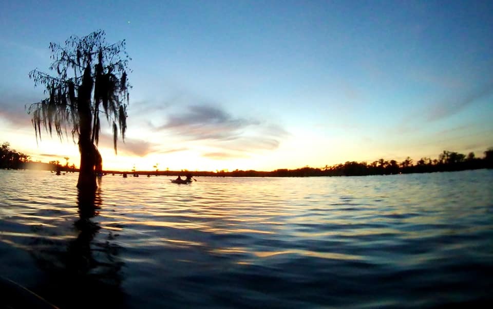 Waves of dusk (NWX)