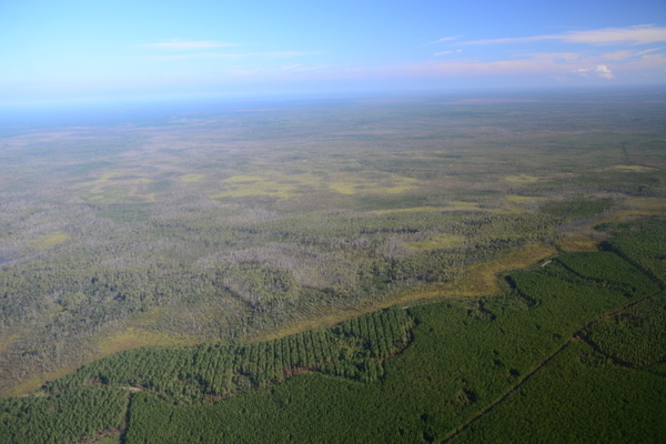 [GA-FL line, Okefenokee Swamp, Wayne Morgan, Southwings, 2019-10-05]