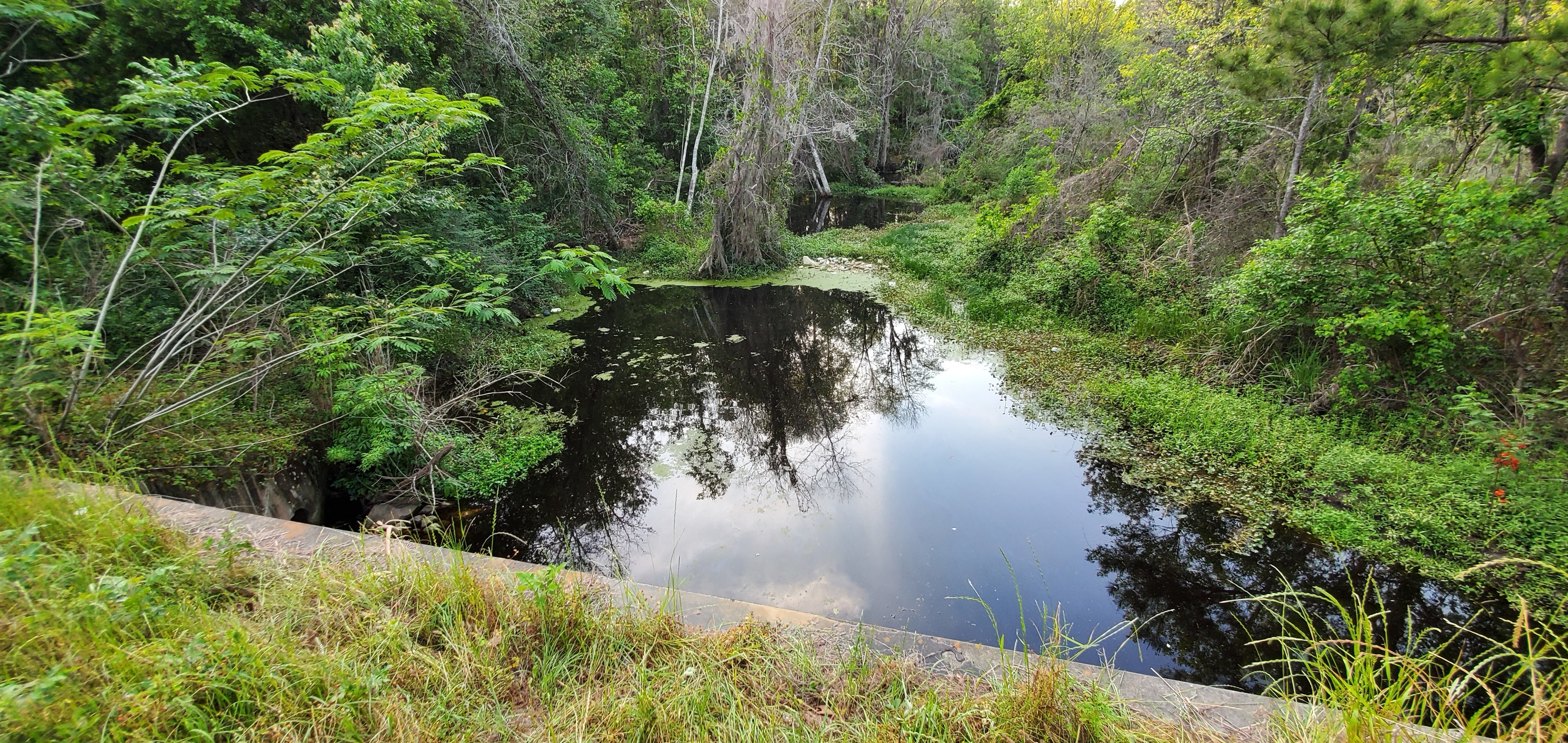 Downstream, Cherry Creek