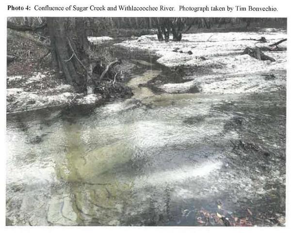 [Confluence of Sugar Creek and Withlacoochee River.]