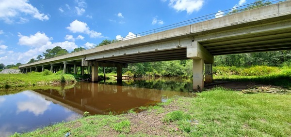 [Withlacoochee River @ Hagan Bridge]