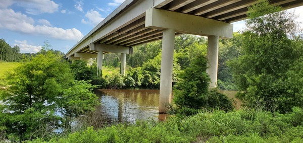 [Horn Bridge, GA 31, Withlacoochee River]