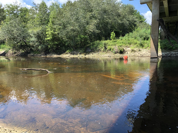 [2.24' (85.8' NAVD88; Low Stage 85.5') Withlacoochee River @ US 84]