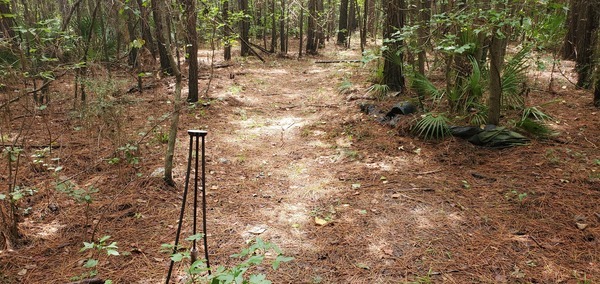 Tripod