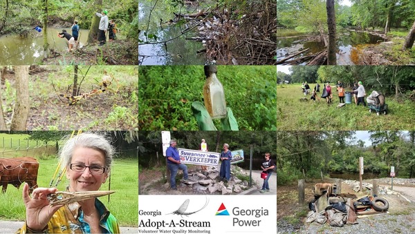 [Bucket, need boat, Withlacoochee River, spider, bottle, handoff, Great Blue Heron, trash, Volunteer of the Year --GA AAS]