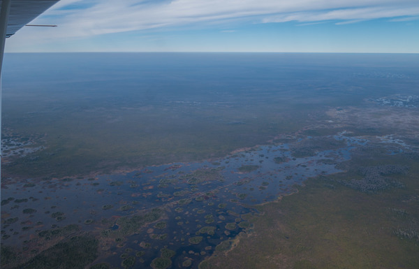 [NW: Big Cypress Lake, 30.679388, -82.199747]