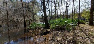 [Upstream to US 41 bridge]