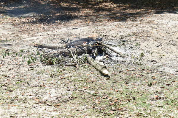 [Random unattended fire at Knights Ferry Boat Ramp]