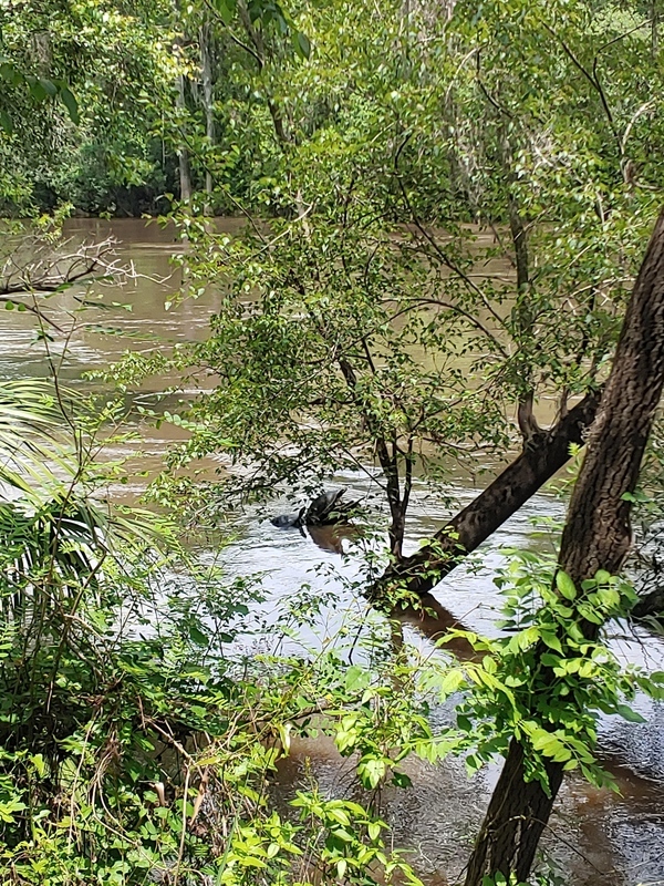 [Seven-foot Withlacoochee River]