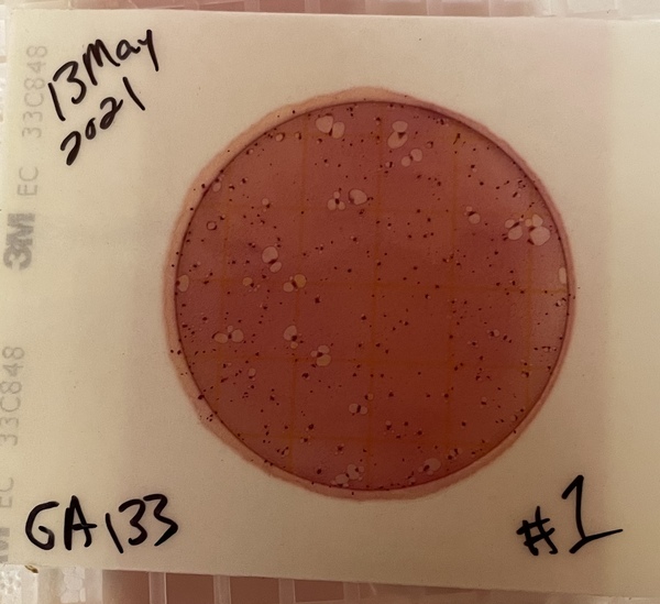 [GA 133 Plate 1 2021-05-13]