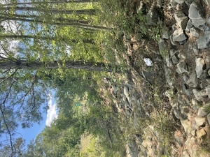 [Rough road rocks]