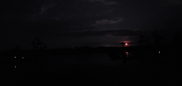 Boats, moonrise