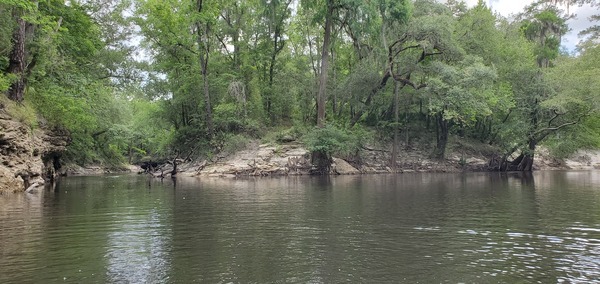 [Alapahoochee River Confluence, 13:00:04, 30.6018850, -83.0739601]