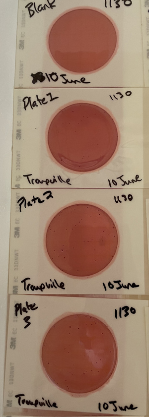 [Plates, Troupville Boat Ramp 2021-06-10]
