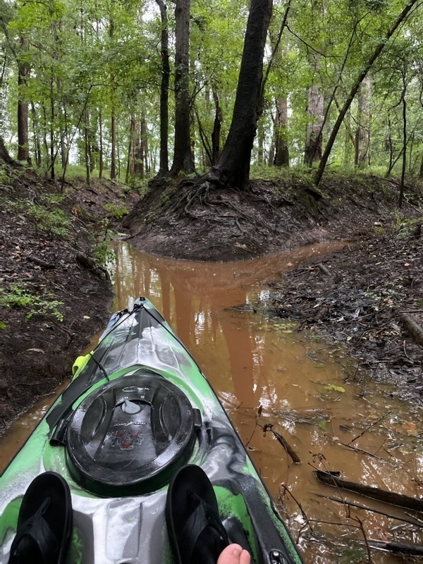 [Outfall, Mulch Yard, at Withlacoochee River 2021-06-29]