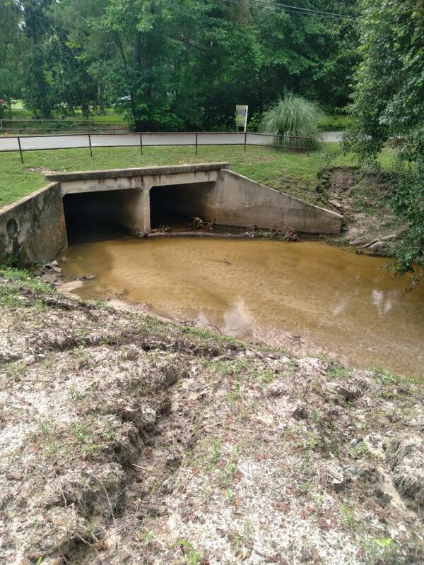 [Downstream Onemile Branch and Wainwright Drive bridge]