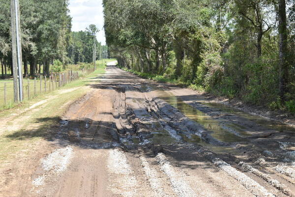 [Mud Trap, Knights Ferry Road, Withlacoochee River 2021-09-02]