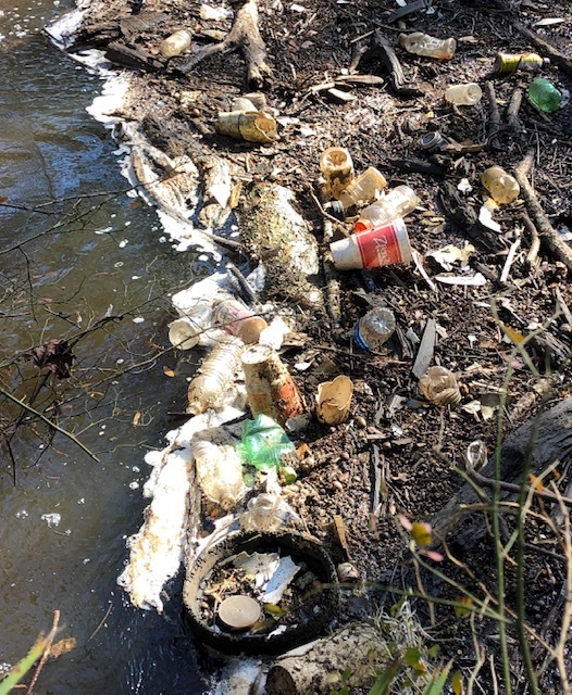 Zacadoo's cup, yet another garbage raft behind Wood Valley