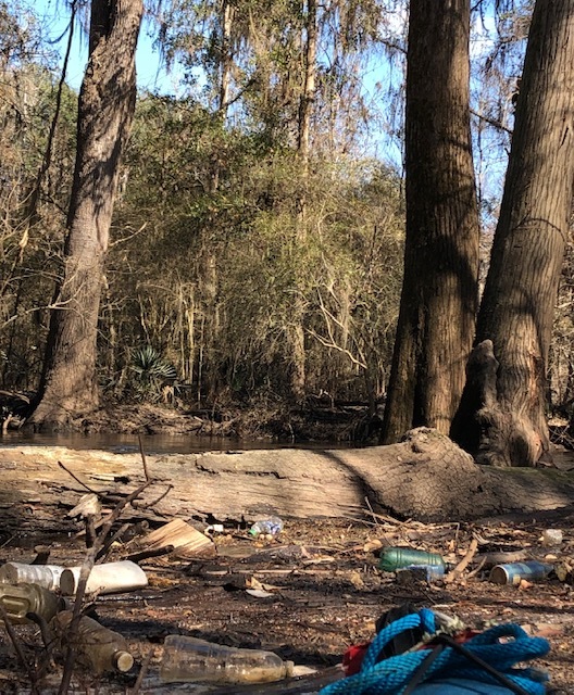 [Log trash jam about 100 feet from Little River Confluence, at site of proposed Troupville River Camp]