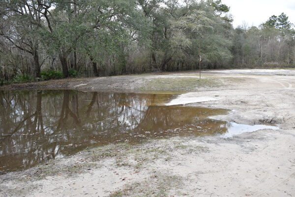 [Knights Ferry Boat Ramp, Withlacoochee River 2022-01-20]