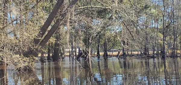 [River flowing in front of horse barn, 12:06:45, 30.8641817, -83.3199090]