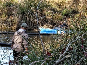 [Across the creek --Suzy Hall]