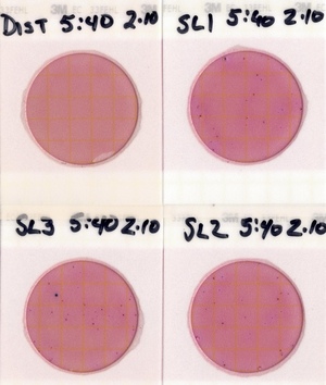 [Plates, State Line Boat Ramp 2022-02-10]