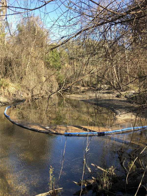 [Boom from downstream Photo: Russell Allen McBride 2022-03-01, 15:55:51, 30.8626333, -83.3189694]