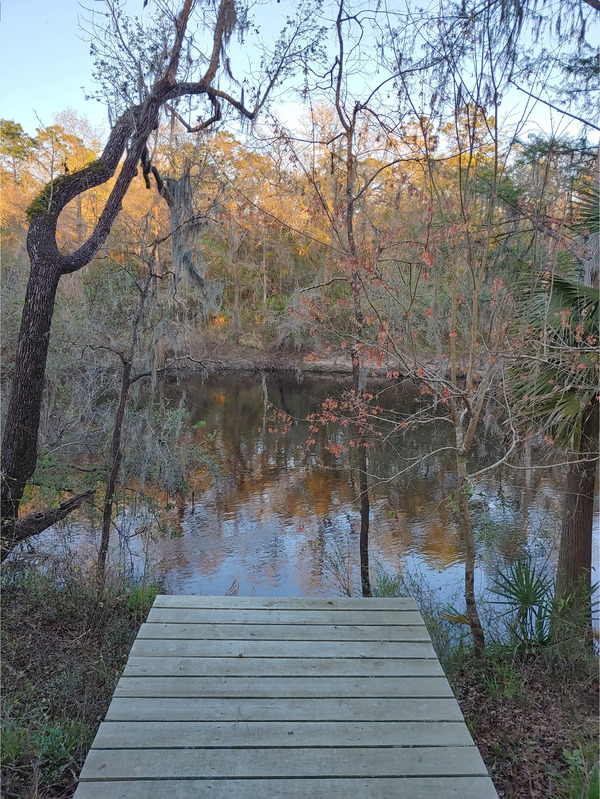 [Cleary Bluff, Withlacoochee River @ NE Withla Bluffs Way 2022-03-16]