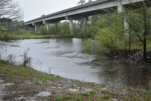 [State Line Boat Ramp Water Level, Withlacoochee River @ GA 133 2022-03-24]