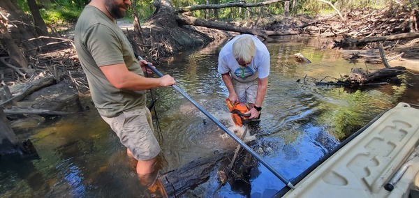 [Phil saws a log; Jan fends off the boat]