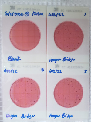 [Plates, Hagan Bridge Landing 2022-06-02]