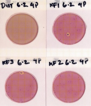 [Plates, Knights Ferry Boat Ramp 2022-06-02]