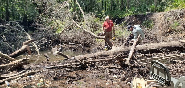 [Bobby McKenzie chainsawing, 11:23:09, 30.8629801, -83.3233339]