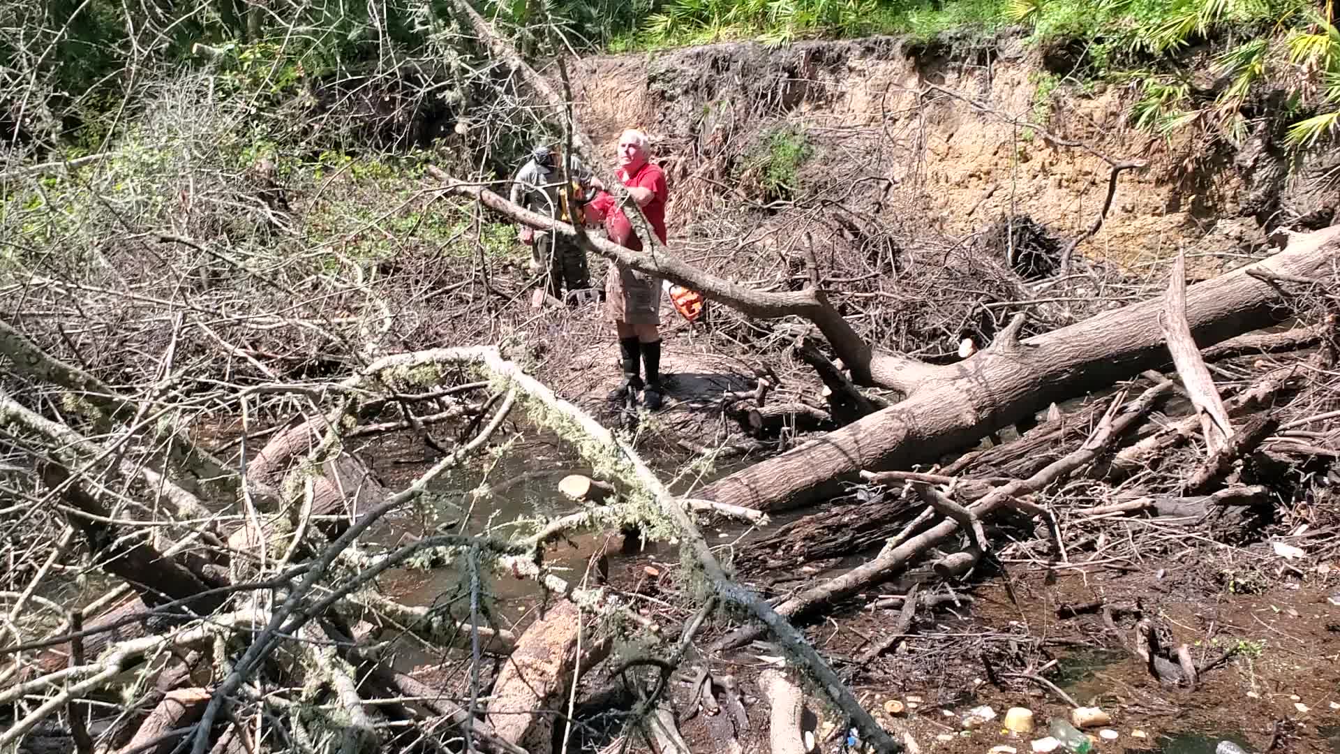 Movie: Electric chainsaw, 30.8630861, -83.3232384 (30M)